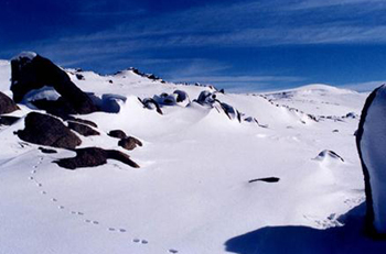Kosciuszko – Australia Kosciuszko – Australia