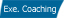 Executive Coaching